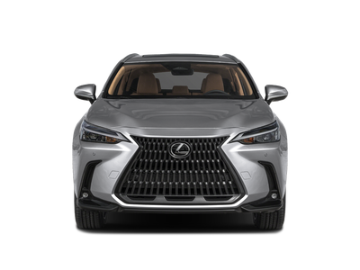 2025 Lexus NX 350 Luxury