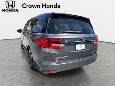 2023 Honda Odyssey Elite