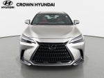 2025 Lexus NX 350 Luxury