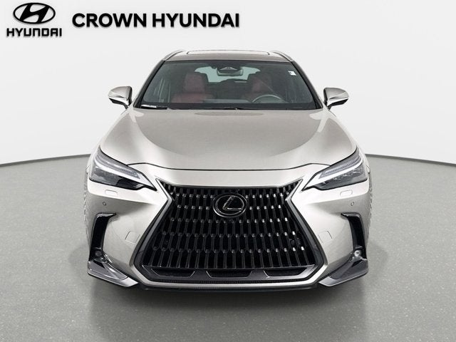 2025 Lexus NX 350 Luxury