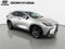 2025 Lexus NX 350 Luxury