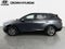 2024 Kia Sportage SX