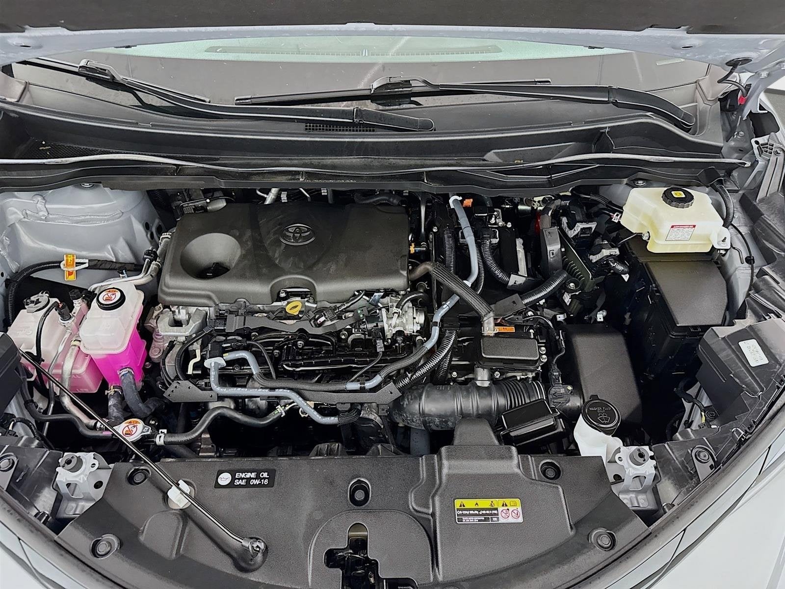 2025 Toyota Sienna XSE