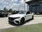 2025 Mercedes-Benz E-Class E 53 AMG®