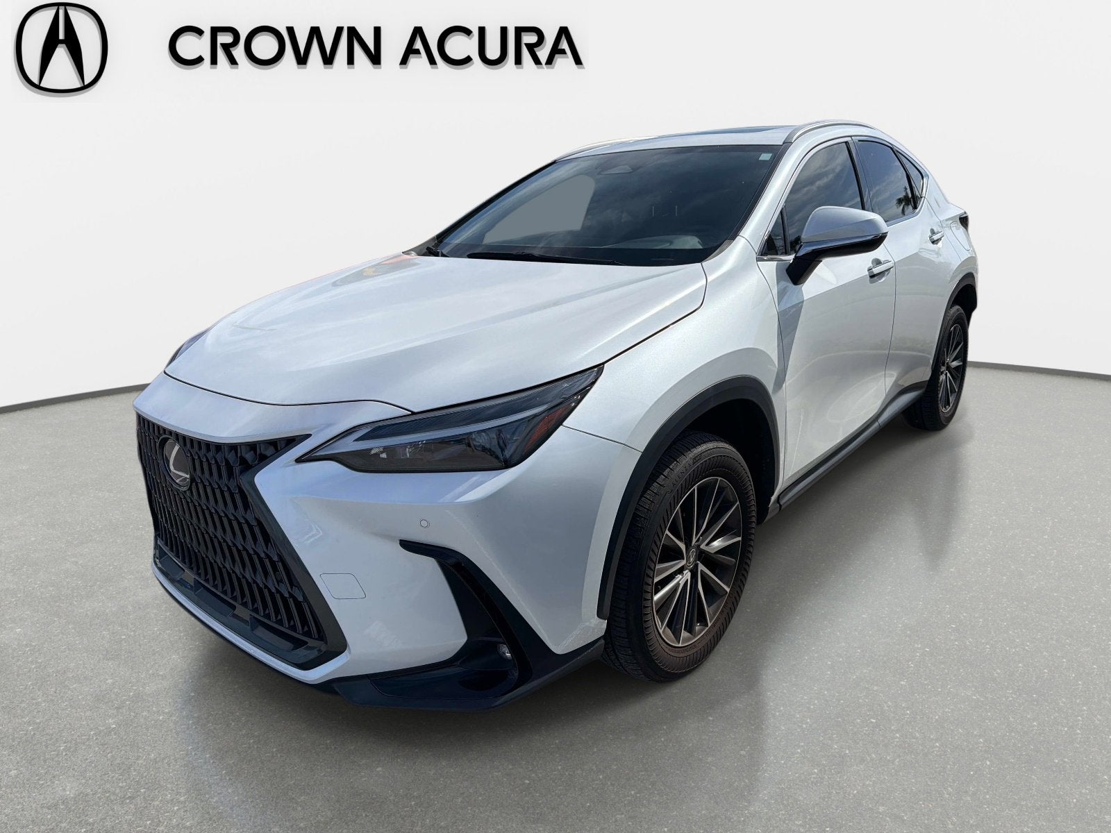 2024 Lexus NX NX 250 Premium