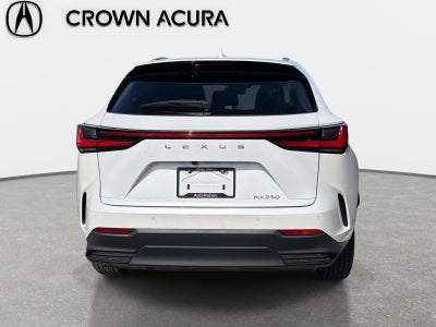 2024 Lexus NX NX 250 Premium